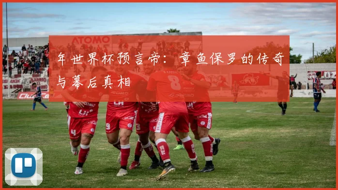 年世界杯预言帝：章鱼保罗的传奇与幕后真相