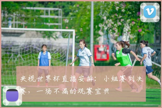 央视世界杯直播安排：小组赛到决赛，一场不漏的观赛宝典