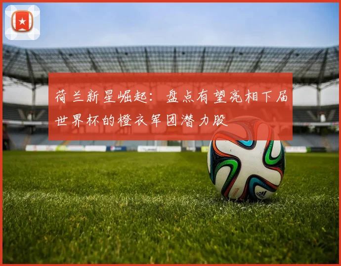 荷兰新星崛起：盘点有望亮相下届世界杯的橙衣军团潜力股