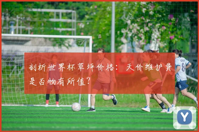 剖析世界杯草坪价格：天价维护费是否物有所值？