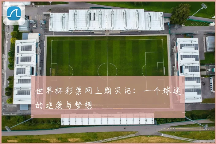 世界杯彩票网上购买记:一个球迷的逆袭与梦想