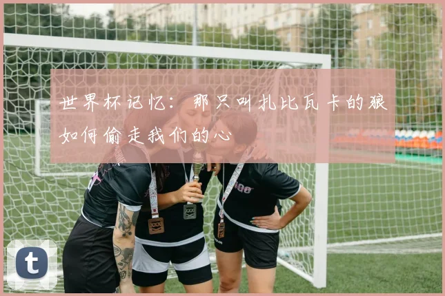 世界杯记忆：那只叫扎比瓦卡的狼如何偷走我们的心
