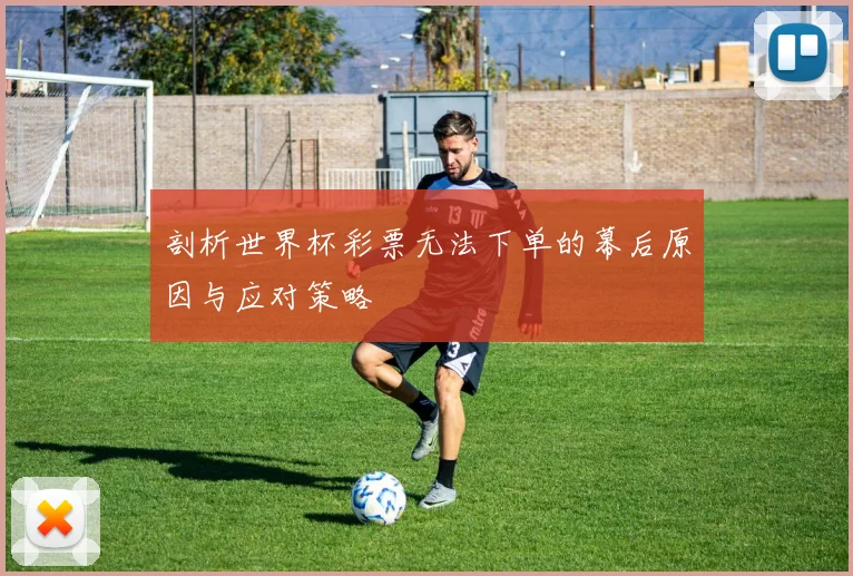 剖析世界杯彩票无法下单的幕后原因与应对策略