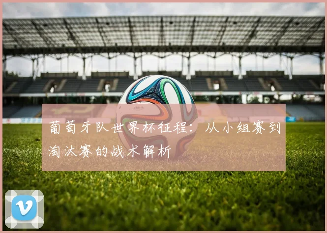 葡萄牙队世界杯征程：从小组赛到淘汰赛的战术解析