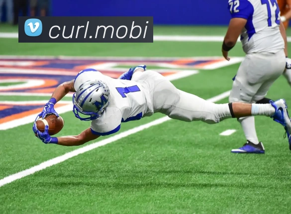 爱体育官网app下载APP 封面图